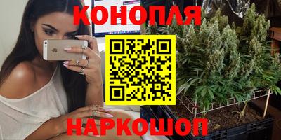 прущая мука Гудермес