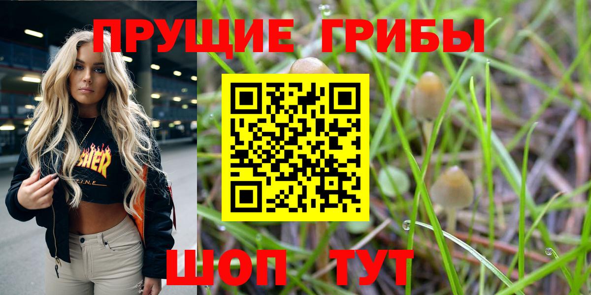 Галлюциногенные грибы Magic Shrooms Калуга