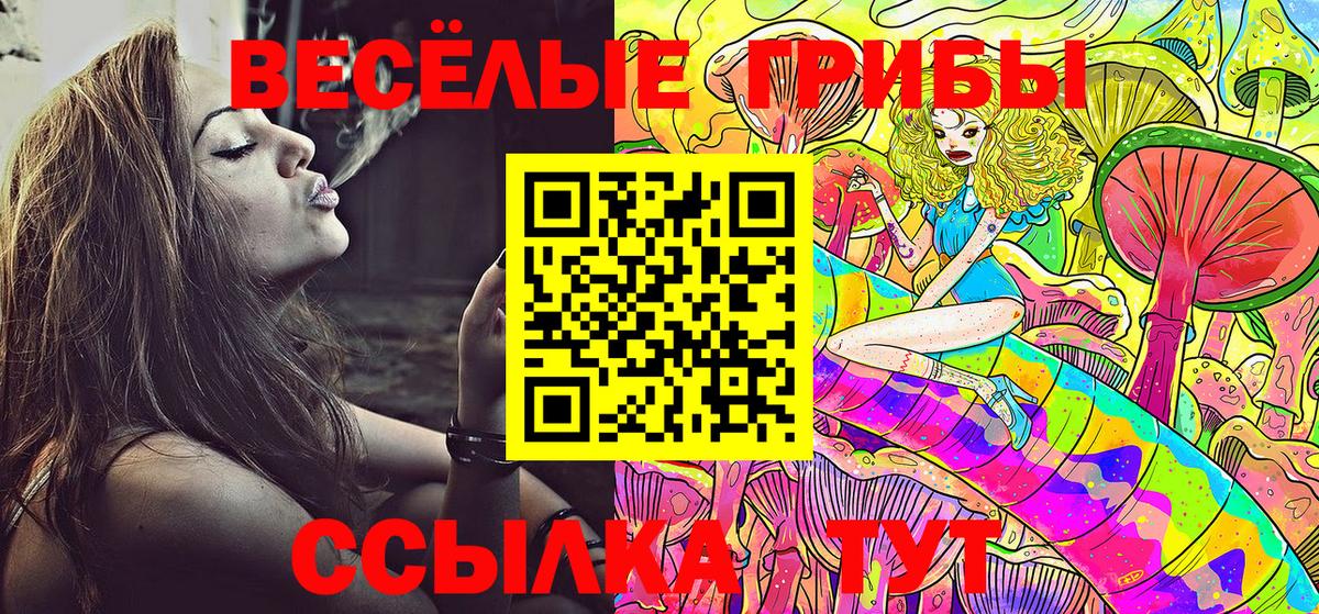 Галлюциногенные грибы ЛСД  Вход с VPN  Галлюциногенные грибы Psilocybine cubensis  где продают наркотики  Калуга 